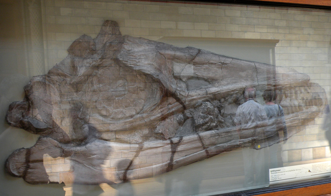 L''ultima preda del mostro